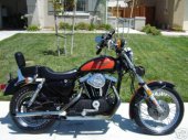 1982 Harley-Davidson XLS 1000 Roadster photo
